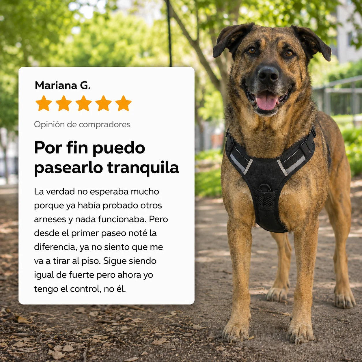 Arnés Anti Tirones