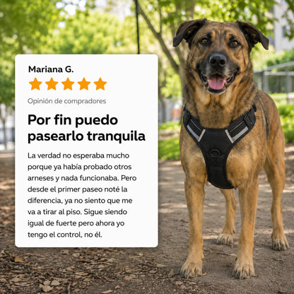 Arnés Anti Tirones