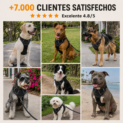 Arnés Anti Tirones