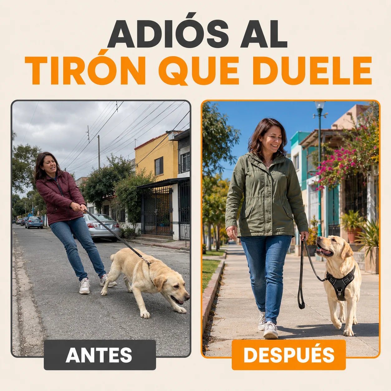 Arnés Anti Tirones