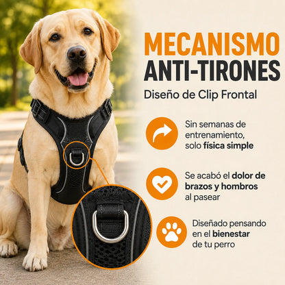 Arnés Anti Tirones