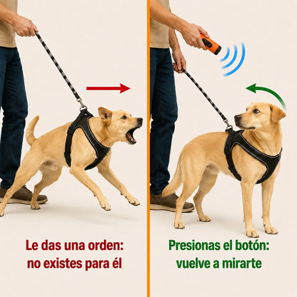 Bark Stop