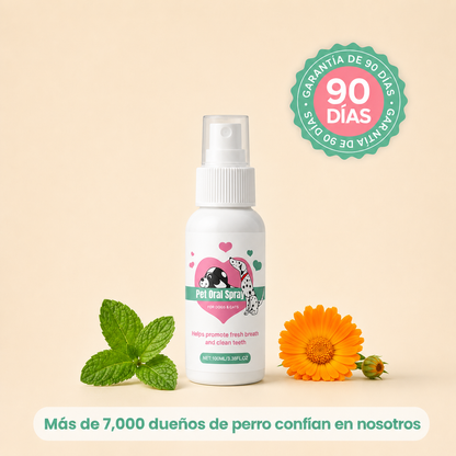 Spray Bucal Para Perros