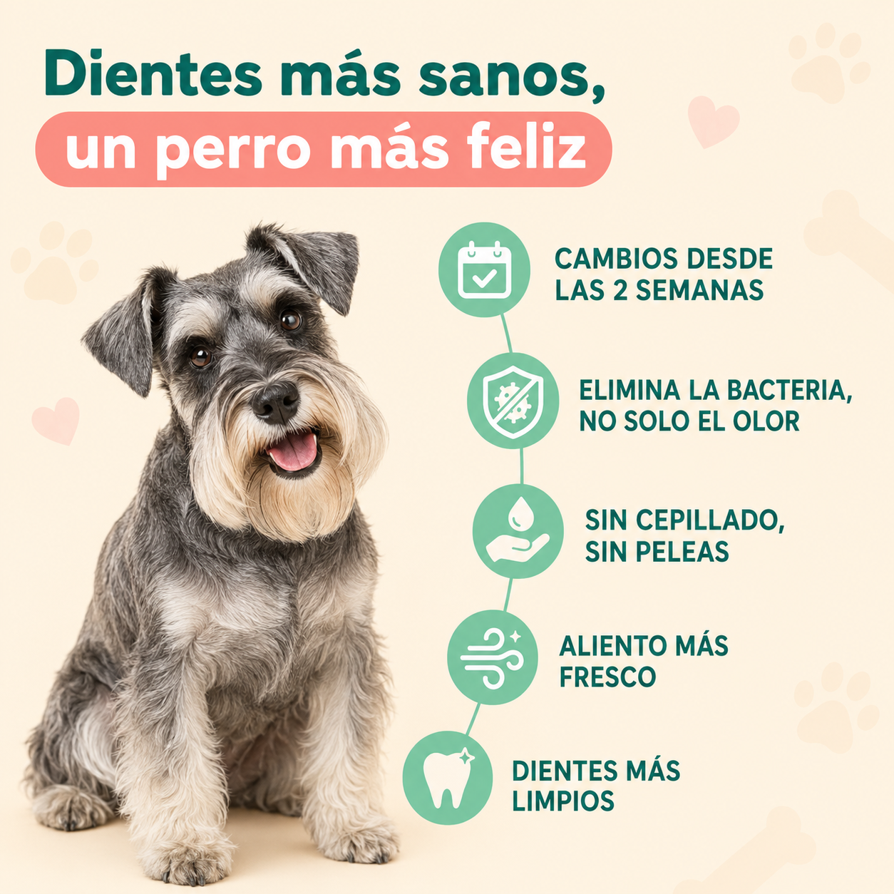 Spray Bucal Para Perros