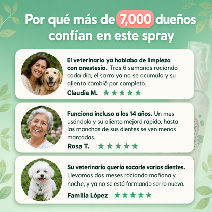 Spray Bucal Para Perros
